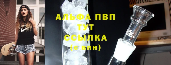 ешки Бородино