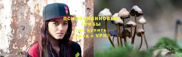 ешки Бородино