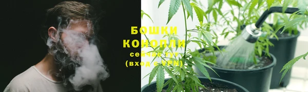 шишки Россошь