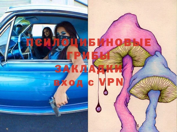 шишки Россошь