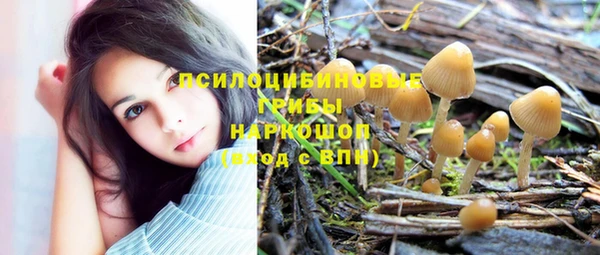 ешки Бородино