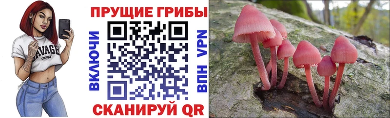 Галлюциногенные грибы Magic Shrooms  Тогучин 